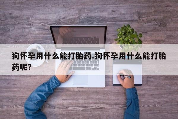 流产药网上专门卖店微信狗怀孕用什么能打胎药.狗怀孕用什么能打胎药呢？
