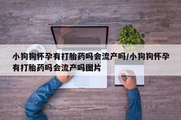 流产药网上专门卖店微信小狗狗怀孕有打胎药吗会流产吗/小狗狗怀孕有打胎药吗会流产吗图片