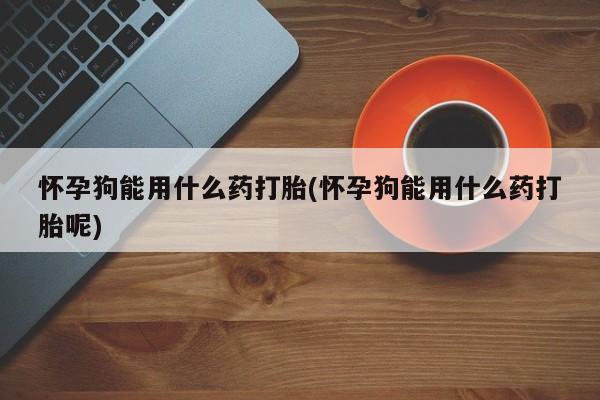 流产药网上专门卖店微信怀孕狗能用什么药打胎(怀孕狗能用什么药打胎呢)